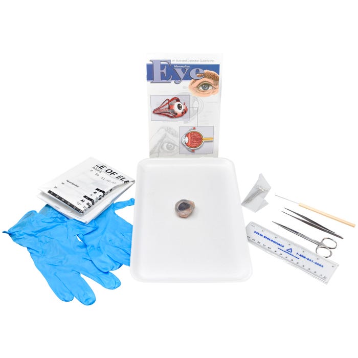 Frey Scientific Choice Preserved Sheep Eyes with Dissection Tools