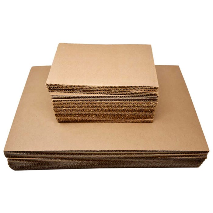 DeltaBio Plant Press Blotter Dryer Sheet, 6 x 9 Inches, Pack of 100