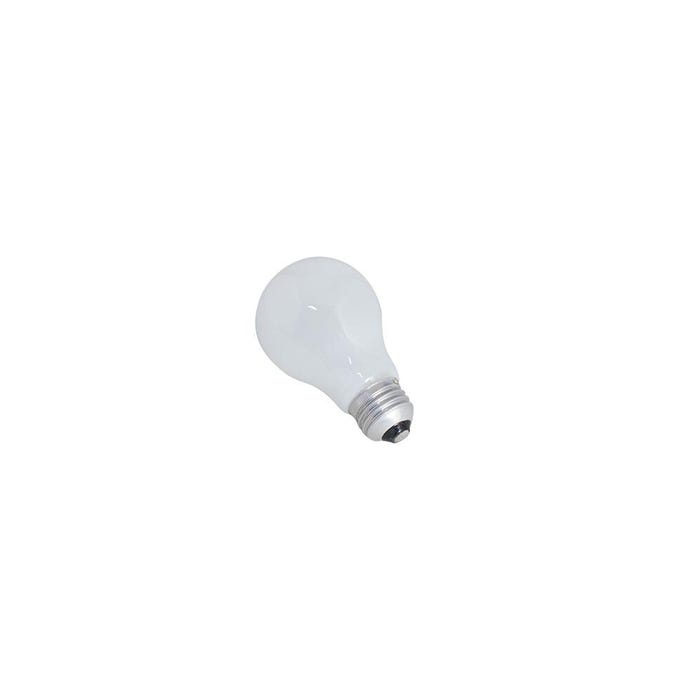 Delta Education Light Bulb, LED