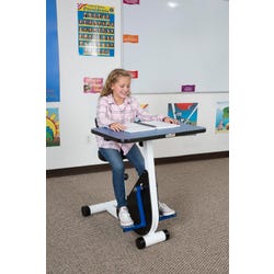 Exercise Equipment, Item Number 1577599