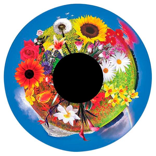 Image for Optikinetics 6-Inch Effect Wheel, Flowers from School Specialty