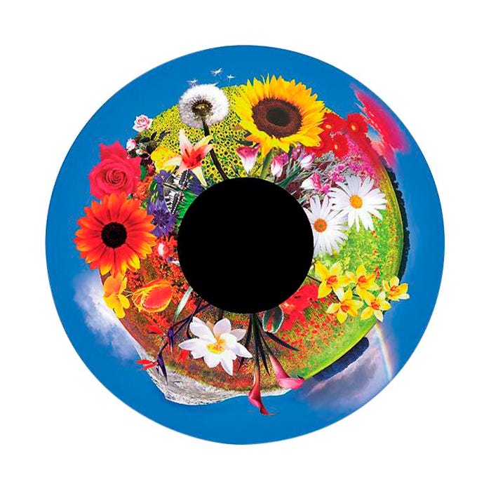 Optikinetics 6-Inch Effect Wheel, Flowers