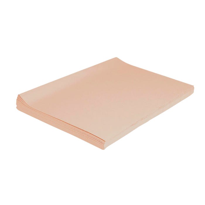 Spectra Deluxe Bleeding Tissue Paper, 20 x 30 Inches, Peach Pink, 24 Sheets