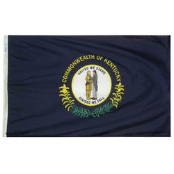 Annin Nylon Kentucky Indoor State Flag, 3 X 5 ft, Item Number 023346