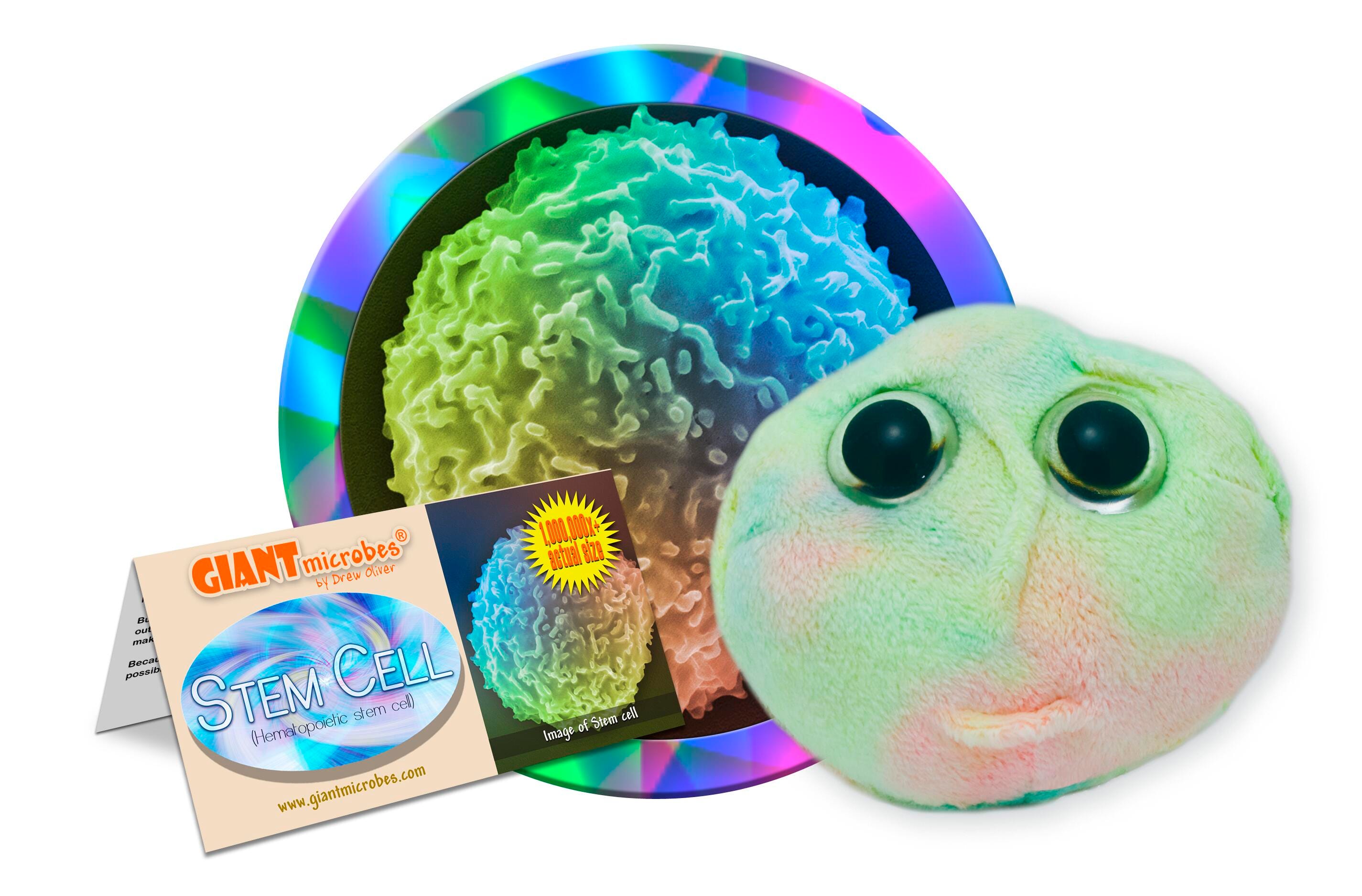 GIANTmicrobes Stem Cell Plush, 5 to 8 Inches, Item Number 1590789