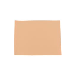Sax Colored Art Paper, 9 x 12 Inches, Peach, 50 Sheets 1593312