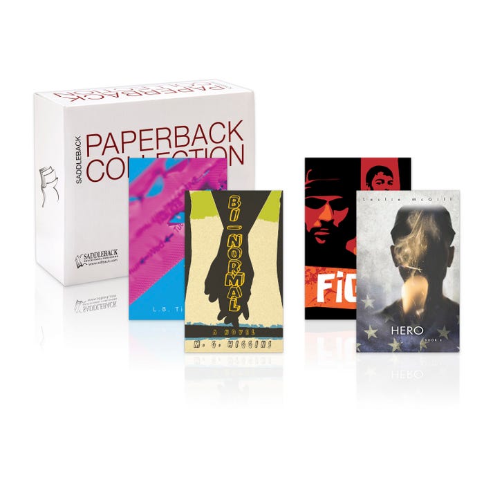 Saddleback Educational Publishing Young Adult Set B: Range 300L-490L Small Box, Set of 23