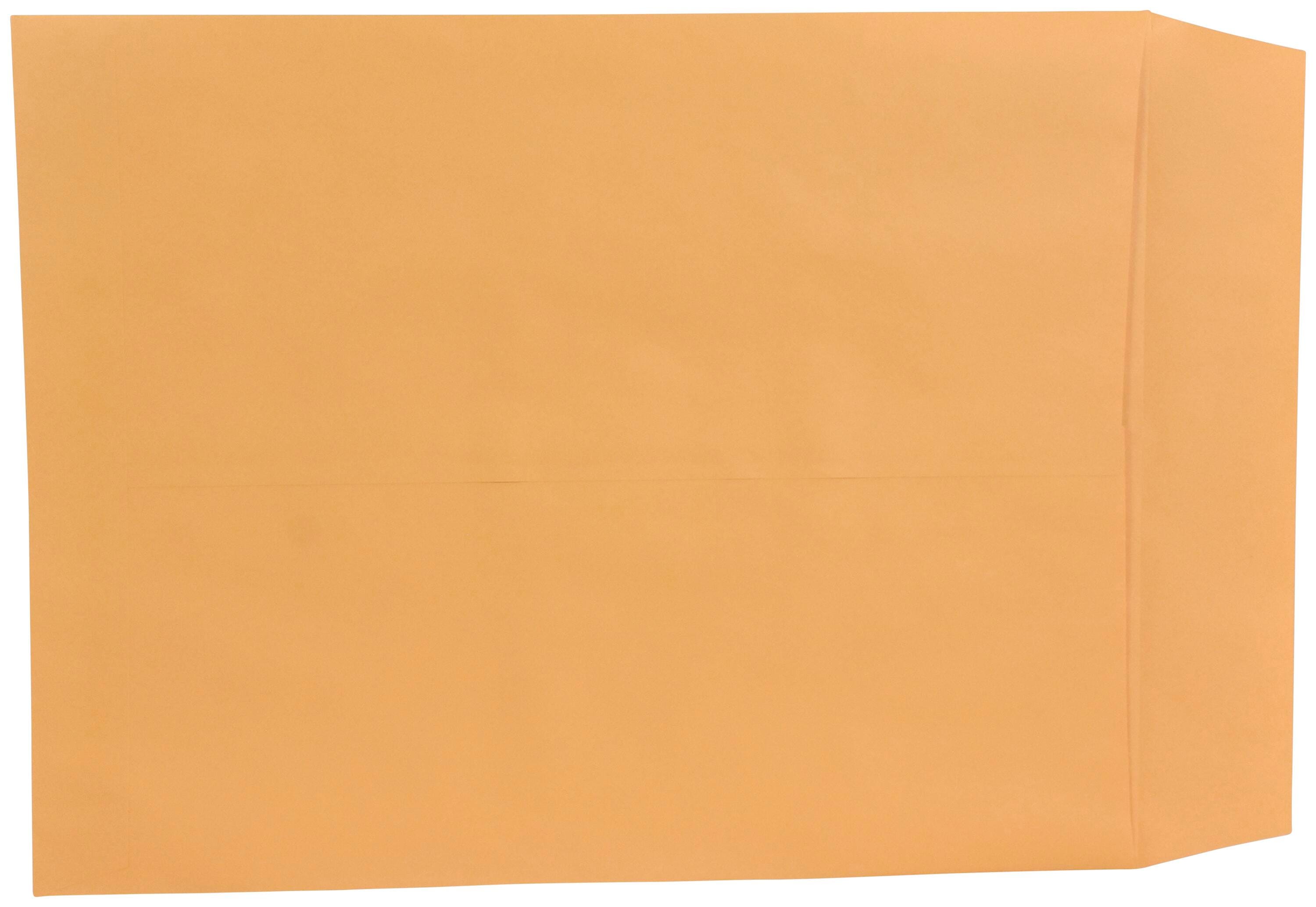 School Smart Catalog Envelopes with Ungummed Flaps, 14 x 18 Inches, Kraft Brown, Pack of 25 2044613