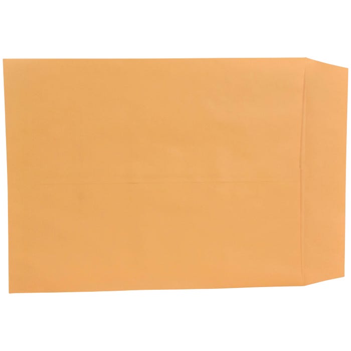 School Smart Catalog Envelopes with Ungummed Flaps, 14 x 18 Inches, Kraft Brown, Pack of 25