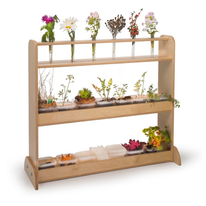 Whitney Brothers Nature Shelf, 34 x 12 x 30 Inches