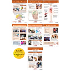 Image for Sportime Alcohol Abuse and Addiction Bulletin Board Charts, Set of 7, Grades 5 to 12 from School Specialty