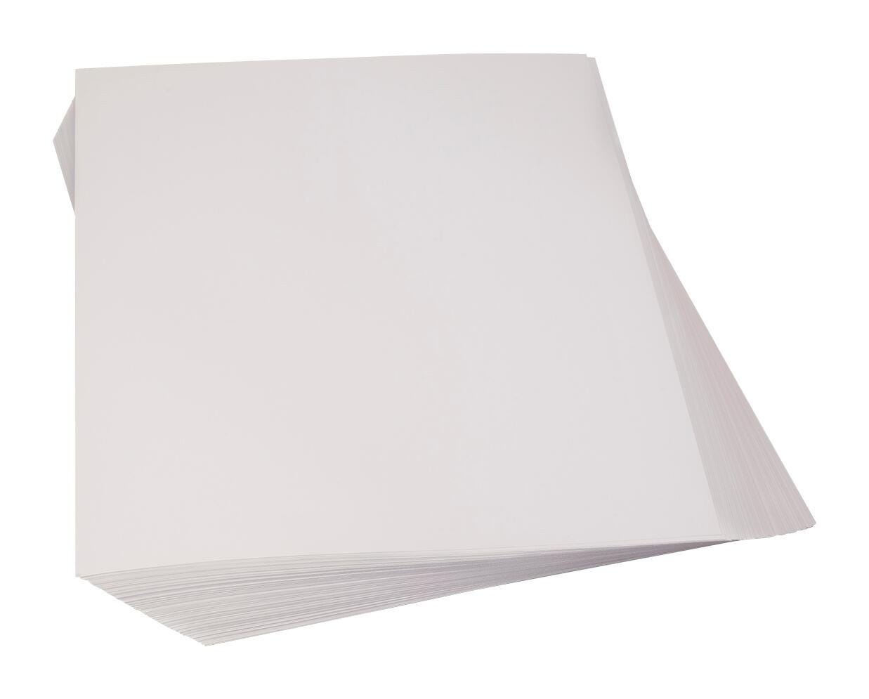Nasco Thrifty Buy Poster Board Special, 22 x 28 Inches, 18 pt, Pack of 100