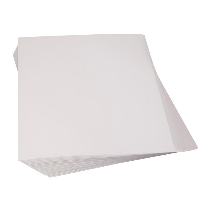 Nasco Thrifty Buy Poster Board Special, 22 x 28 Inches, 18 pt, Pack of 100