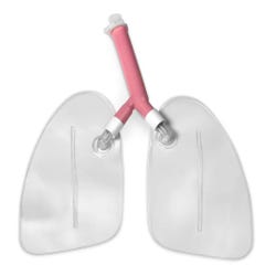 Replacement Lungs for Life/form® Airway Larry Airway Management Trainer Manikins