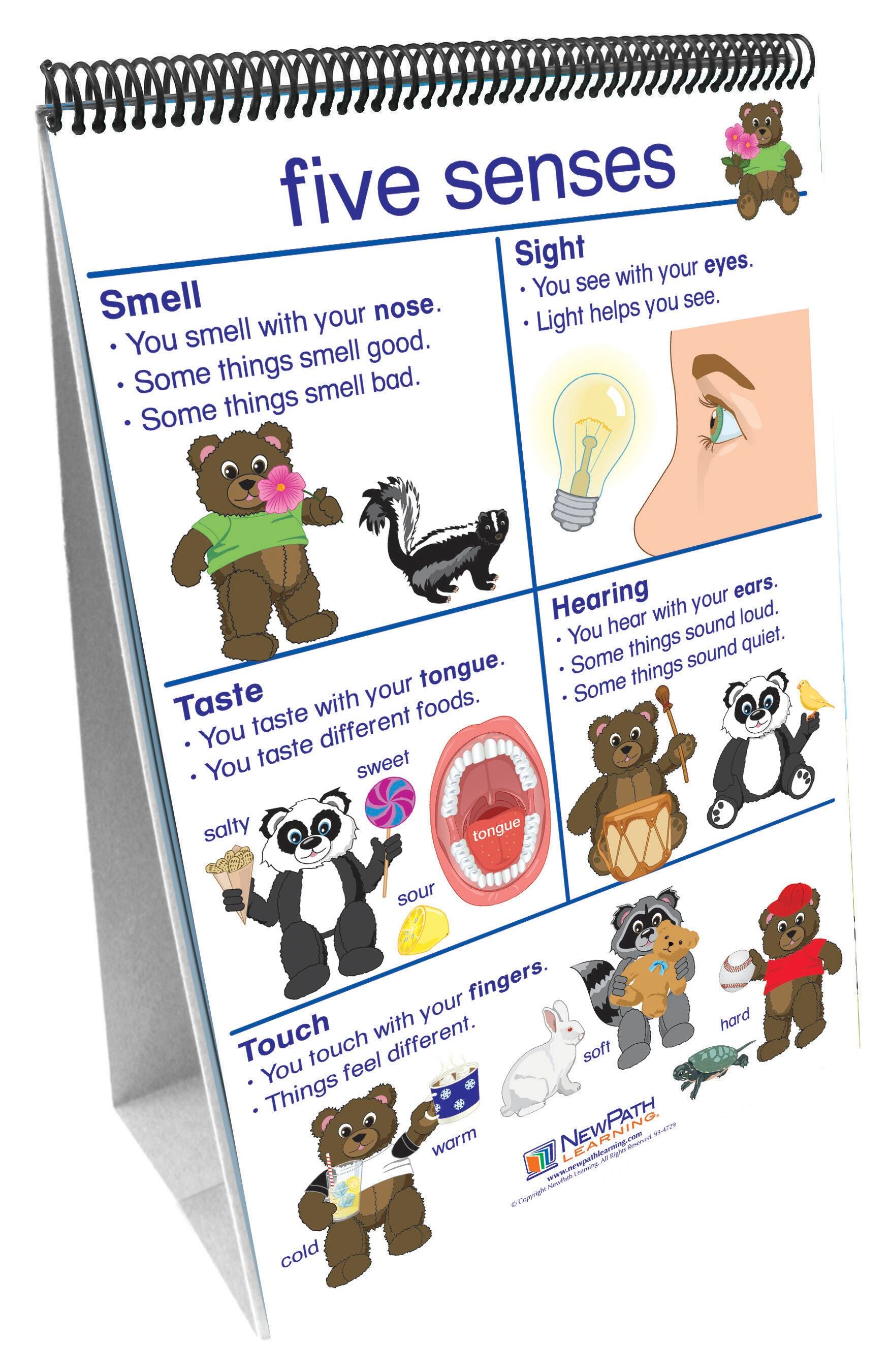 Science Manipulative Skills, Item Number 1428998