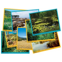 FOSS Mats Habitats Cards, Set of 12 2144942