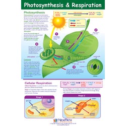 Plant Science, Animal Science, Insect Science, Item Number 1413701