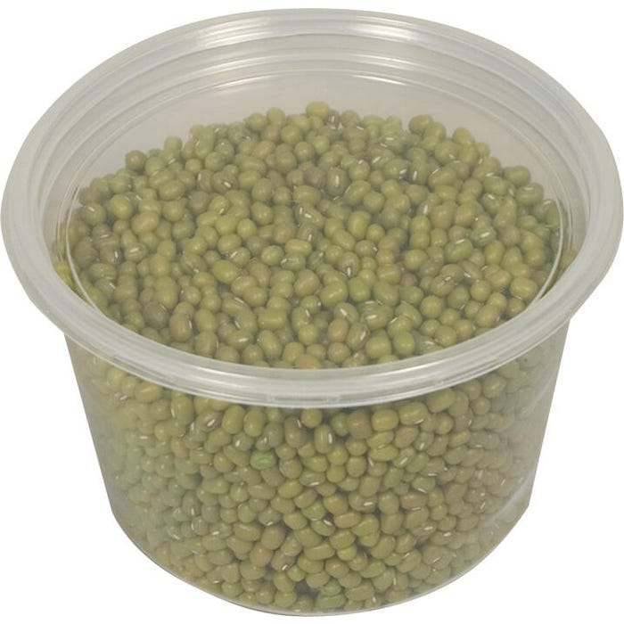 Delta Education Mung Beans, 12-1/2 Ounces, In Container