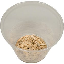 Delta Education Oat Seeds, 2 Ounces