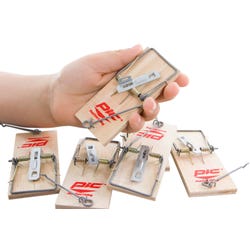 ANGLEIMAGES_FULLIMAGE