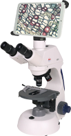 Microscope