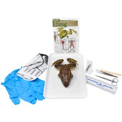 Frey Choice Dissection Kit - Basic Frog (plain) with Dissection Tools, Item Number 2041221