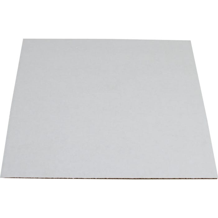 Delta Education Cardboard, Coated on One Side, 28 x 30 Centimeters, Each