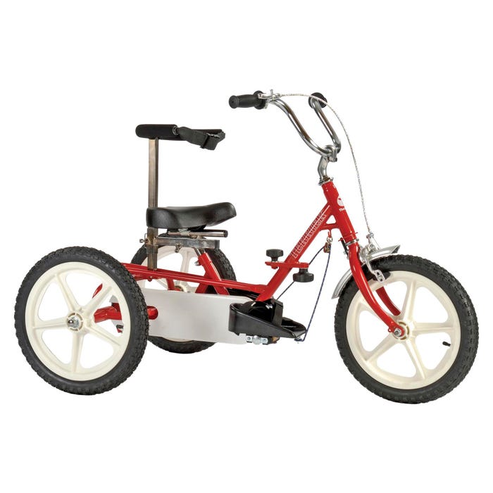 Triaid Terrier Adapted Tricycle, Ages from 4-1/2 Years