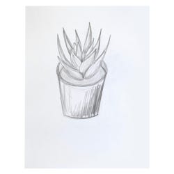 ANGLEIMAGES_FULLIMAGE