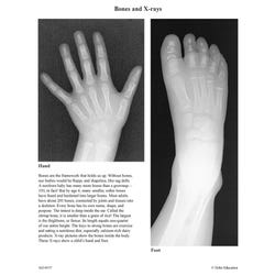 Delta Education Xray Film Sample