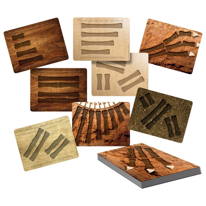 Yellow Door Dinosaur Bones Match and Measure Cards, Set of 16