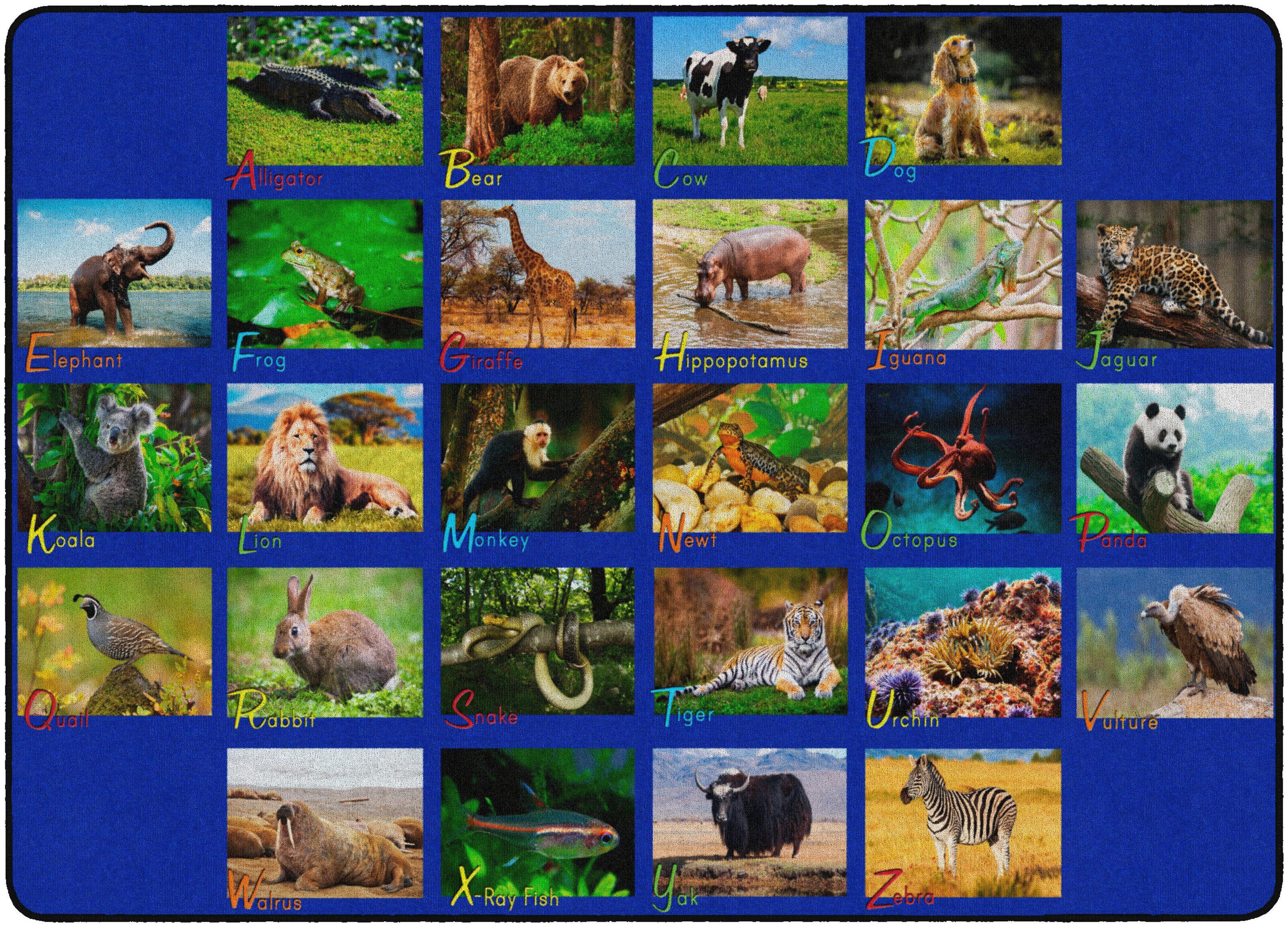 Flagship Carpets Alphabet Animals Carpet, Rectangle 4002352
