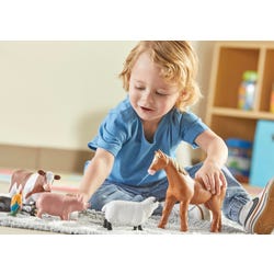 ANGLEIMAGES_FULLIMAGE