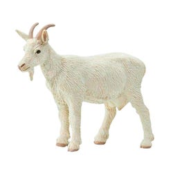 ANGLEIMAGES_FULLIMAGE