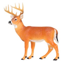 ANGLEIMAGES_FULLIMAGE