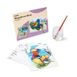 Relish Magnificent Birds Aquapaint