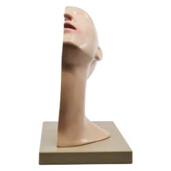 ANGLEIMAGES_FULLIMAGE