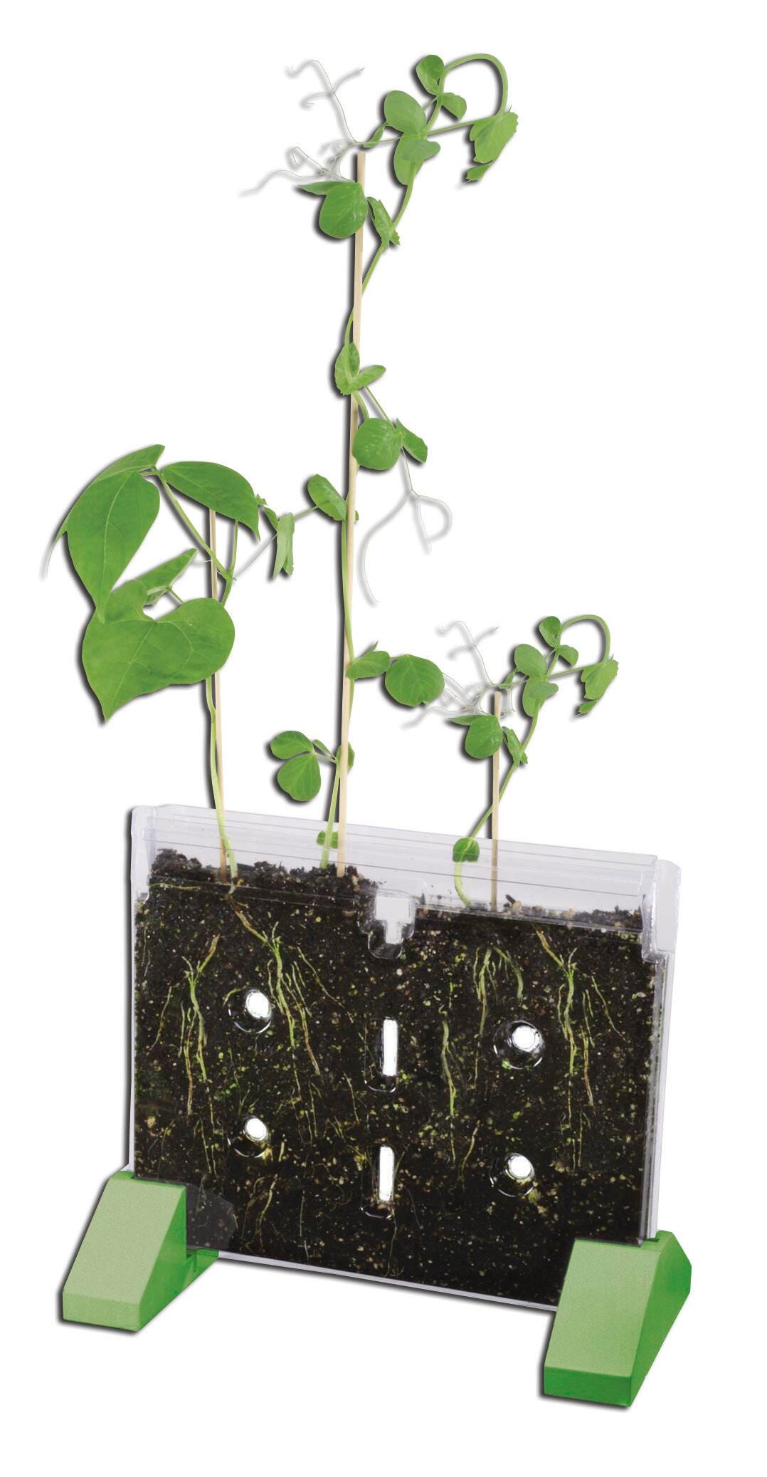 Miscellaneous Lab Supplies, Science Toys for Kids, Kids Science Lab Supplies, Item Number 070141