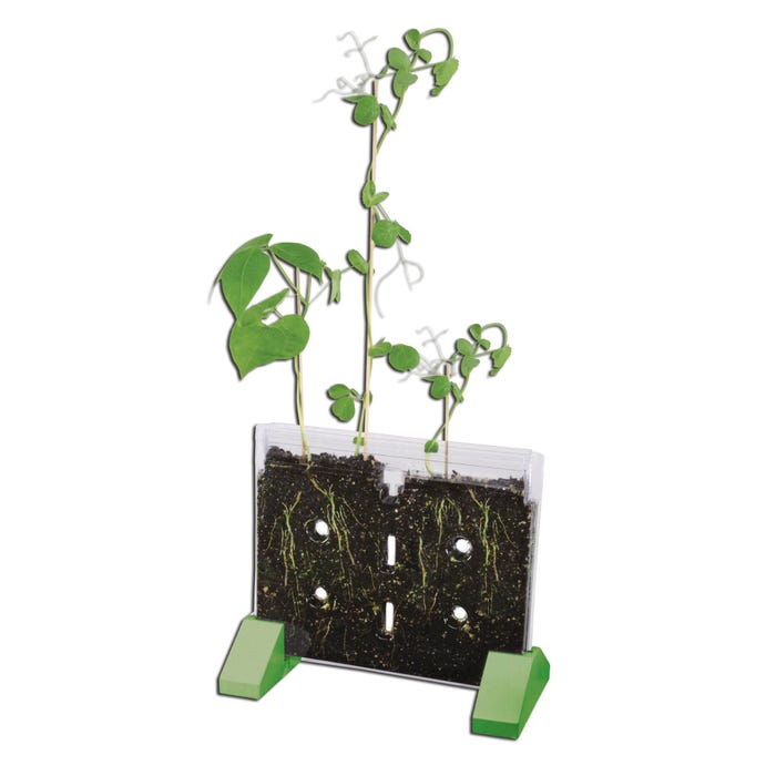 Educational Insights Sprout And Grow Window