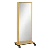 Clinton Industries Vertical Mobile Mirror