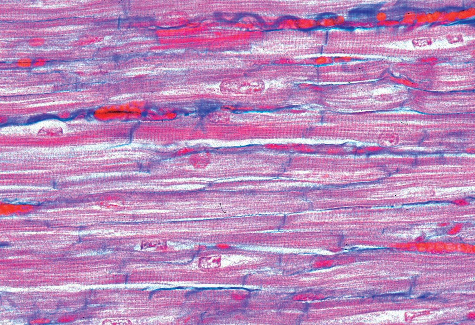 Science Survey Sets, Item Number 529434