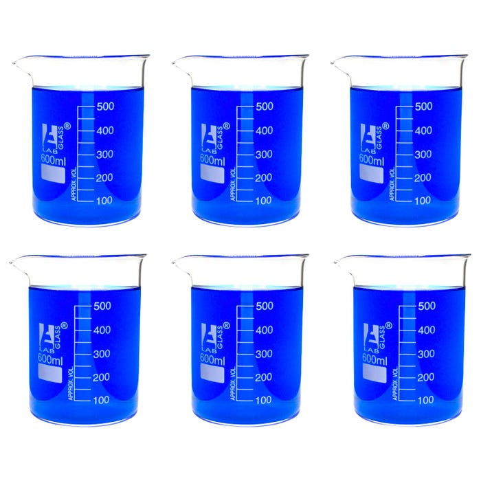 Eisco 600mL Borosilicate Glass Beakers with Spout, Low Form, Pack of 6