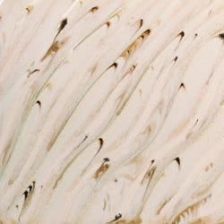 Lead-Free PCF-74 River Birch Flux 2134598