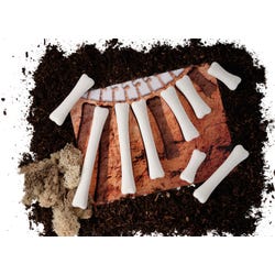 ANGLEIMAGES_FULLIMAGE