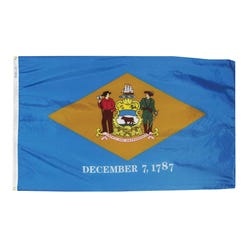 Annin Nylon Delaware Heavy Weight Outdoor State Flag, 4 X 6 ft, Item Number 017262