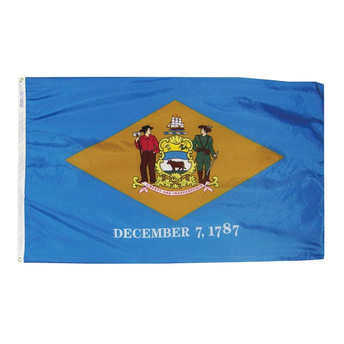Annin Delaware State Flag, Heavy Weight Nylon, Outdoor, 4 x 6 Feet