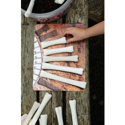 ANGLEIMAGES_FULLIMAGE