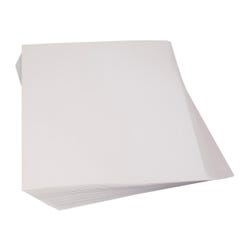 Nasco Thrifty Buy Poster Board Special, 22 x 28 Inches, 18 pt, Pack of 100