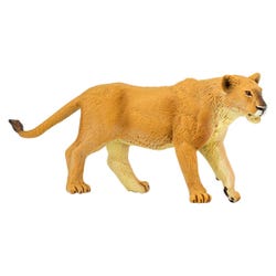 ANGLEIMAGES_FULLIMAGE