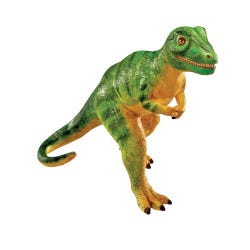 ANGLEIMAGES_FULLIMAGE